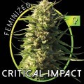 Critical Impact (Vision Seeds)