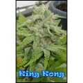 King Kong (Dr. Underground)