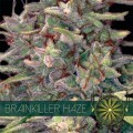 Brainkiller Haze (Vision Seeds)