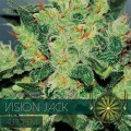 Vision Jack Autoflowering (Vision Seeds)