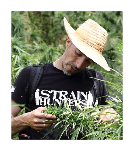 Franco Loja (Strain Hunters/Greenhouse Seeds)