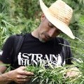 Franco Loja (Strain Hunters/Greenhouse Seeds)