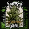 Langui Kush (KushBrothers)