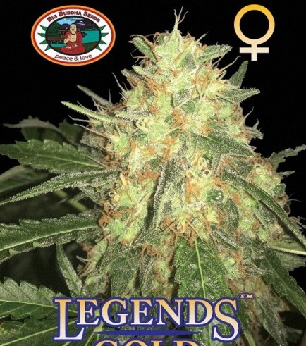 Legends Gold (Big Buddha Seeds)