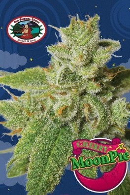 Cherry Moon Pie