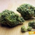 Big Buddha Cheese (420.pixels)