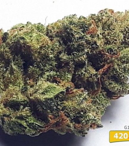 G13 Haze (420.pixels)