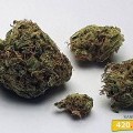 Kandy Kush (420.pixels)