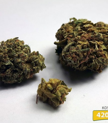 Kosher Kush (420.pixels)