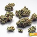 Lemon Zkittle (420.pixels)