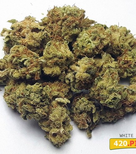 White Widow (420.pixels)