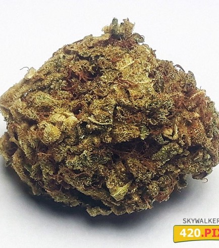 Skywalker Kush (420.pixels)