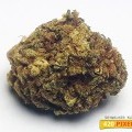 Skywalker Kush (420.pixels)