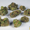 Monster Zkittlez (420.pixels)