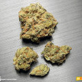 Super Lemon Haze (420.pixels)