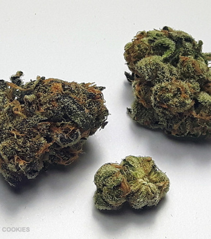 Girl Scout Cookies (420.pixels)