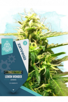 Lemon Wonder Automatic