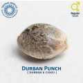 Durban Punch