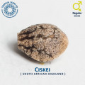 Ciskei