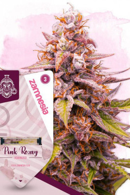 Pink Rozay