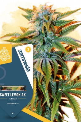 Sweet Lemon AK