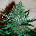 Fruity Chronic Juice