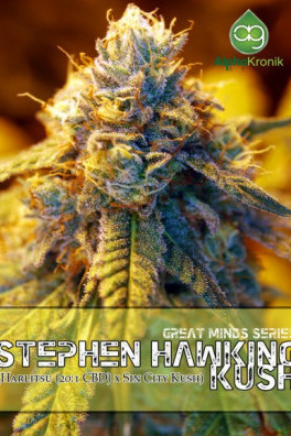 Stephen Hawking Kush