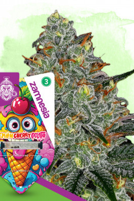 Lemon Cherry Gelato