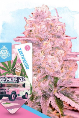 Sundae Driver