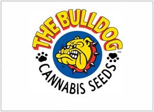 The Bulldog Seeds