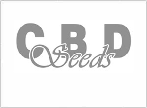 CBD Seeds