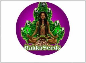 Makka Seeds