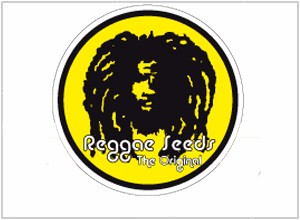 Reggae Seeds