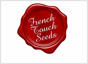 French Touch Seeds