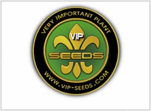 VIP Seeds