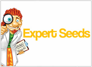 Expert Seeds