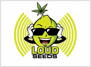 Loud Seeds