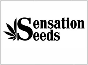 Sensation Seeds