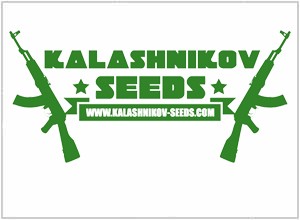 Kalashnikov Seeds