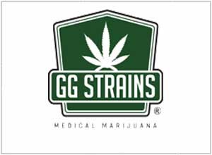 GG Strains