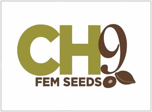 CH9 Seeds