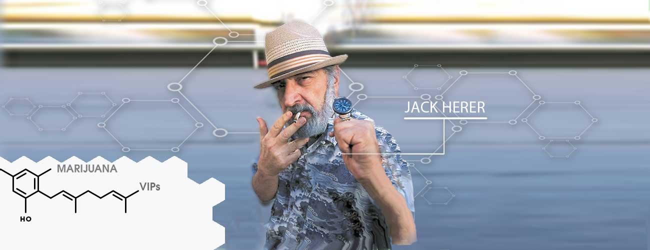 codigo promocional mr jack