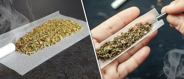 Die Top 10 Tabakalternativen zum Mischen mit Cannabis - Cannaconnection.com