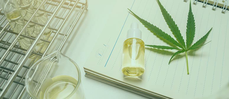 wie man in der Cannabis-Branche einen Job bekommt