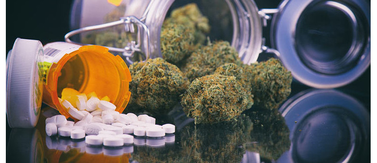 Wechselwirkung zwischen Pharmazeutika und Cannabis Wechselwirkung zwischen Pharmazeutika und Cannabis