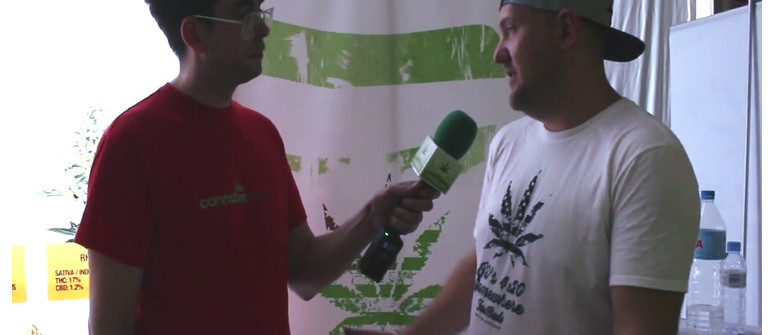 Interview mit Fast Buds