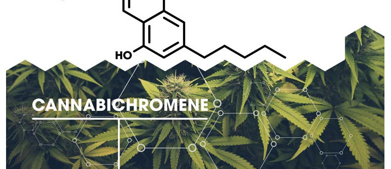 Was Ist Cannabichromen (CBC)?