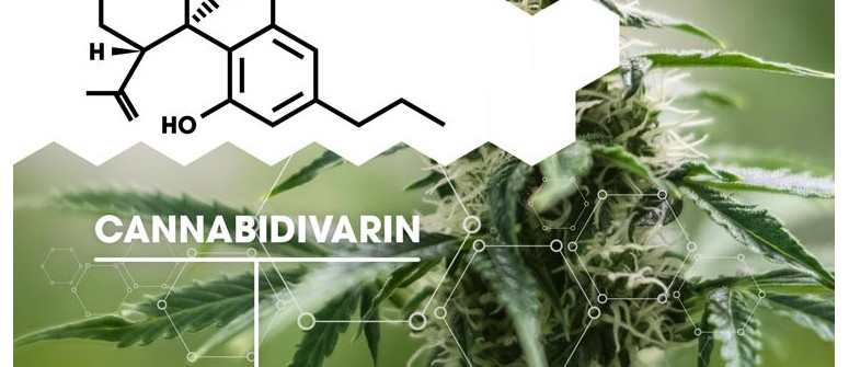 Was Ist Cannabidivarin (CBDV)?