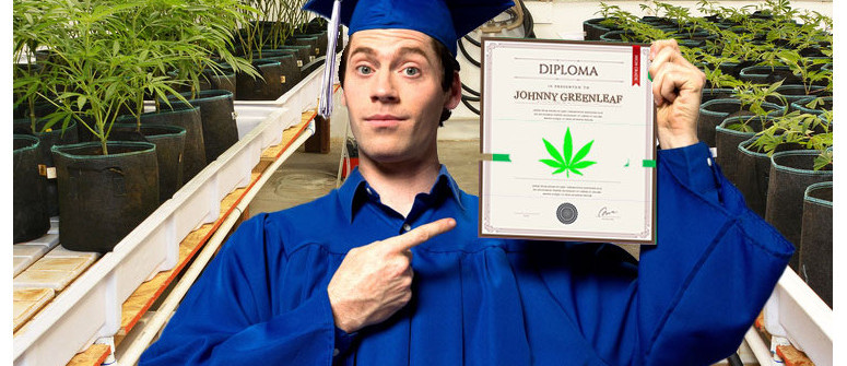 Hochschulbildung: Marihuana-Fachhochschulen und -Universitäten