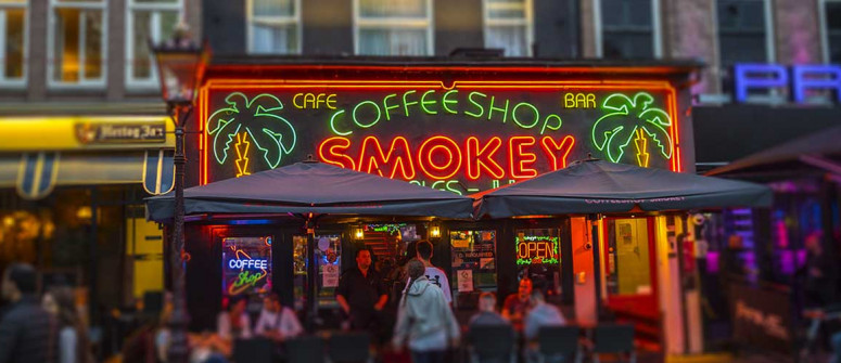 Amsterdamer Coffeeshops: 15 Tipps für deinen ersten Besuch